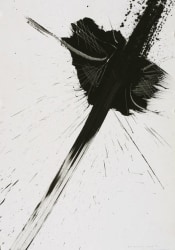 Wout Vercammmen, Composition