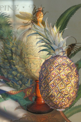 Ella Reitsma.Snoep, Wereldbol (replica) ca. 1500 en getekende ananas, kopie naar John White ca.