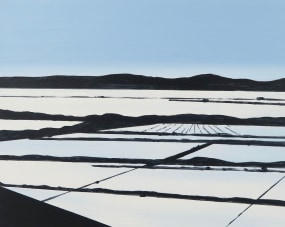 Wim Claessen, Salt lake