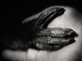 Vincent Lagrange, BETWEEN US