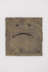 Fernando Sánchez Castillo, Amazon