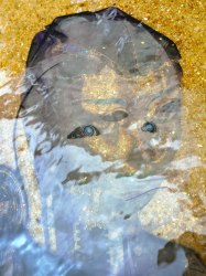 Anouk Kruithof, Fluid’Icon (flow)