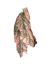 Elisa Strinna, My Body is a Plant - the garden of banes (jimsonweed)