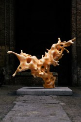 Nick Ervinck, Olnetopia