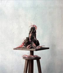 Marie Pop, Barre, crevettes