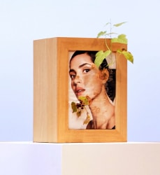 Elsa Leydier, Les Marques