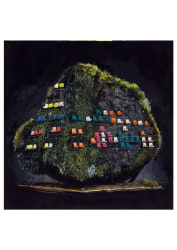 Toni van Tiel, Stadion