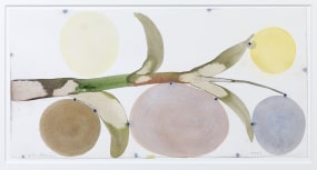 Warffemius, from the series Ile Maurice