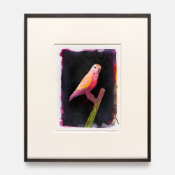 Benjamin Moravec, Untitled