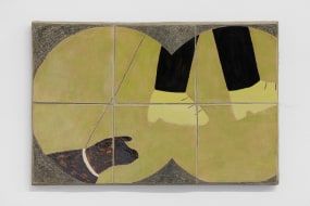 Valgerður Sigurðardóttir, Binocular scene