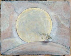 Minne Kersten, Transverse Orientation