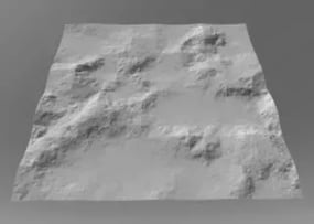 Marcel Wesdorp, Engraving, I wish I couldn't lie