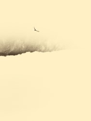 Le Nghi Teng, In the sky