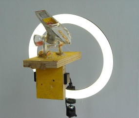 Lee McDonald, Maqqueta Cement mill - Speedboat