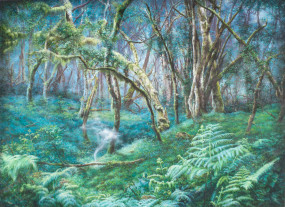 Anya Janssen, The Fog