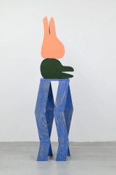 Koen Taselaar, A Hare And A Duck