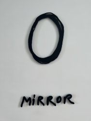 Dora García, Insect Vocabulary: Mirror