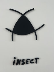 Dora García, Insect Vocabulary: Insect