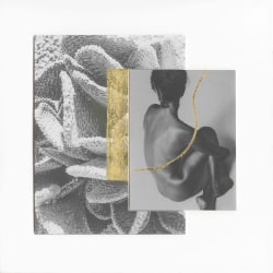 Margaret Lansink, Becoming XI