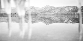 Margaret Lansink, Reverie Silver Gelatin