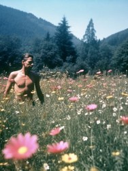 Sander Coers, POST No. 06