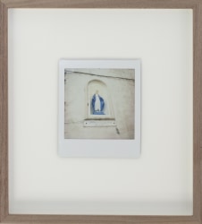 Iris Bergman, Flowers for Mary, Polaroid II