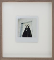 Iris Bergman, Flowers for Mary, Polaroid IV