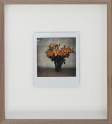 Iris Bergman, Flowers for Mary, Polaroid V