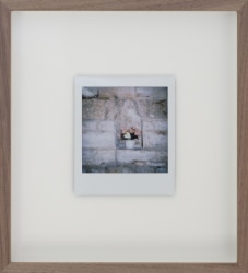 Iris Bergman, Flowers for Mary, Polaroid VIII