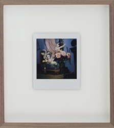 Iris Bergman, Flowers for Mary, Polaroid III