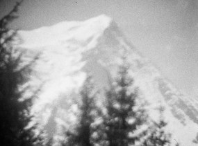 Mark van den Brink, 07671.01, ALPS