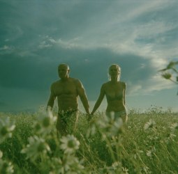 Aneta Bartos, Daisies