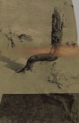 Esmee van Zeeventer, Beams of Orange