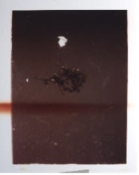 Esmee van Zeeventer, Untitled