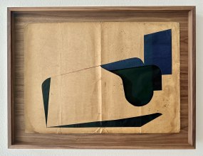 Jesse Willems, The next Amazon