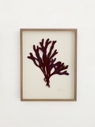 Driessens & van den Baar, Blaaswier