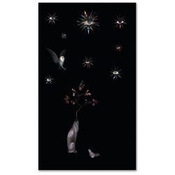 Meryl Donoghue, XVII.  The Star