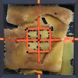 Jef Faes, Target 05, 2D 9-keto-trans-2