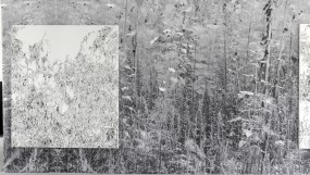 Anouk Griffioen, Wanderlust