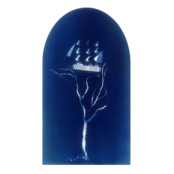 Meryl Donoghue, Ship