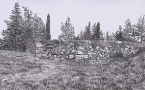 Samah Shihadi, Landscape #1