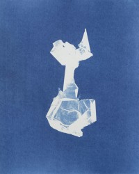 Dekkers & Co., Colpomenia Peregrina (Oesterdief)