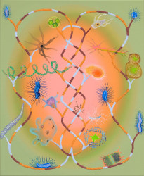 Simone Albers, Mikros Magistralis 1