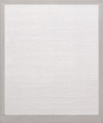 Tomas Rajlich, Cosico