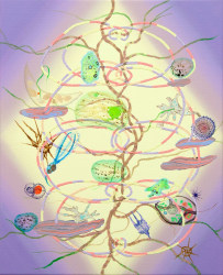 Simone Albers, Mikros Magistralis 8