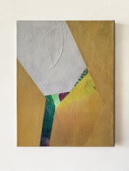 Bart Van Overberghe, ZT