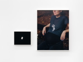 Jana Coorevits, grootste gemene deler