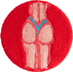 Elen Braga, Wie het nog nooit zag, weet niet wat het is - ...