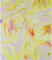 Sofie van Thiel, Mirage II