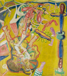 Fred Bervoets, 1e les in anatomie